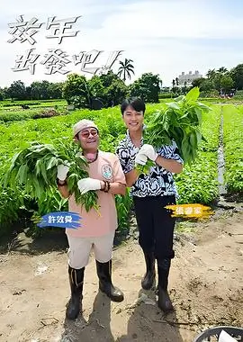 乘风2024 综艺 女团 成长